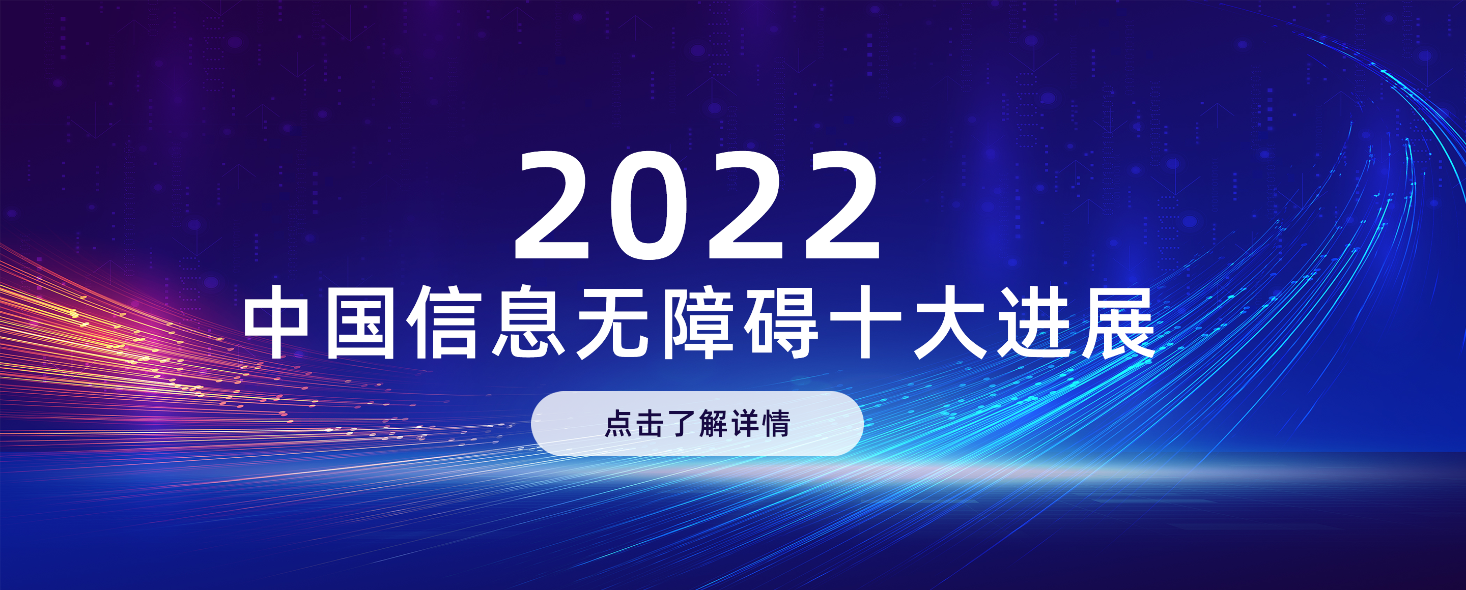 2022中国信息无障碍十大进展